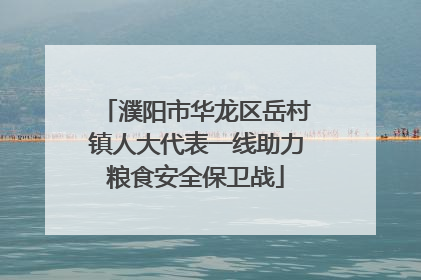 濮阳市华龙区岳村镇人大代表一线助力粮食安全保卫战