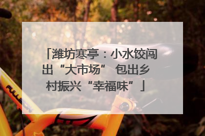 潍坊寒亭：小水饺闯出“大市场” 包出乡村振兴“幸福味”