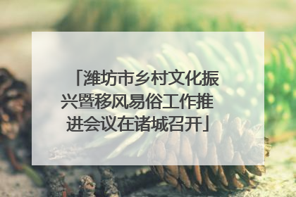 潍坊市乡村文化振兴暨移风易俗工作推进会议在诸城召开