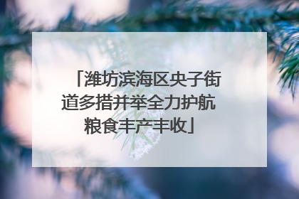 潍坊滨海区央子街道多措并举全力护航粮食丰产丰收