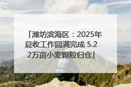 潍坊滨海区：2025年夏收工作圆满完成 5.22万亩小麦颗粒归仓