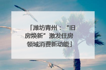 潍坊青州：“旧房焕新”激发住房领域消费新动能