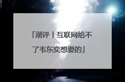潮评丨互联网给不了韦东奕想要的