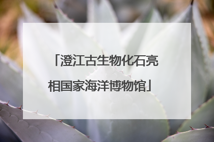 澄江古生物化石亮相国家海洋博物馆