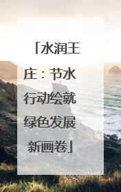 水润王庄：节水行动绘就绿色发展新画卷