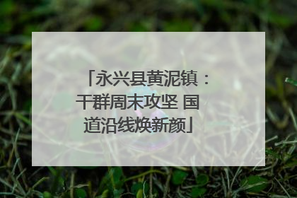 永兴县黄泥镇：干群周末攻坚 国道沿线焕新颜