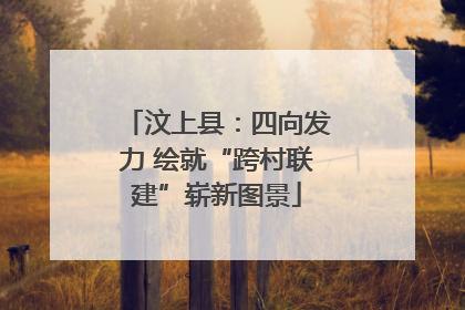 汶上县：四向发力 绘就“跨村联建”崭新图景