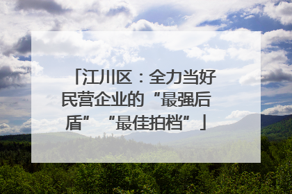 江川区：全力当好民营企业的“最强后盾”“最佳拍档”
