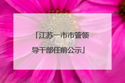 江苏一市市管领导干部任前公示