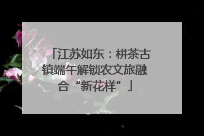 江苏如东：栟茶古镇端午解锁农文旅融合“新花样”