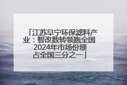 江苏阜宁环保滤料产业：智改数转领跑全国 2024年市场份额占全国三分之一