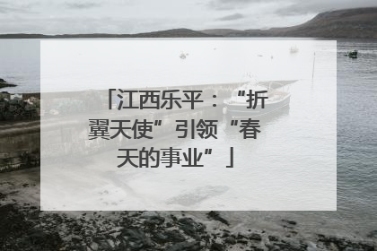 江西乐平：“折翼天使”引领“春天的事业”