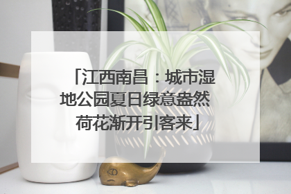 江西南昌：城市湿地公园夏日绿意盎然 荷花渐开引客来