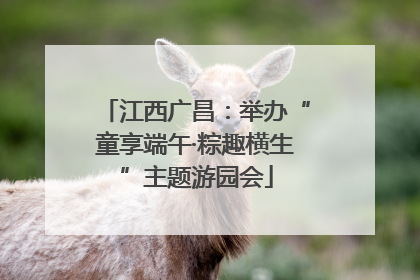 江西广昌：举办“童享端午·粽趣横生”主题游园会