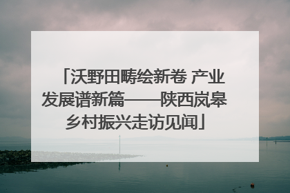 沃野田畴绘新卷 产业发展谱新篇——陕西岚皋乡村振兴走访见闻