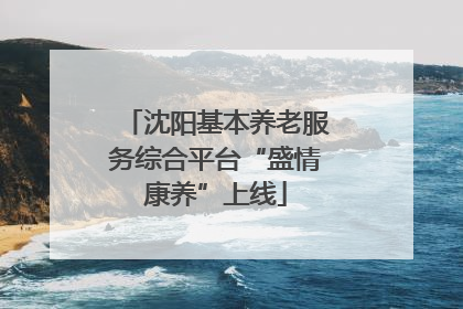 沈阳基本养老服务综合平台“盛情康养”上线