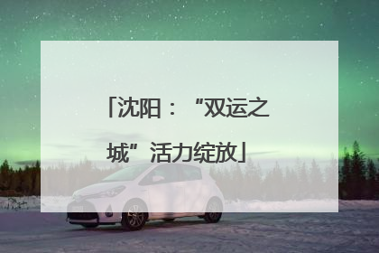 沈阳：“双运之城”活力绽放