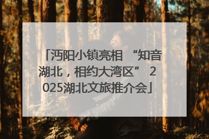 沔阳小镇亮相 “知音湖北，相约大湾区” 2025湖北文旅推介会