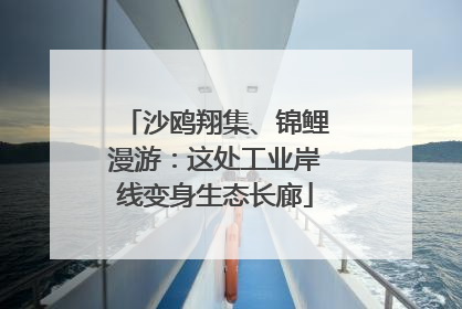 沙鸥翔集、锦鲤漫游：这处工业岸线变身生态长廊