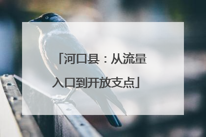 河口县：从流量入口到开放支点