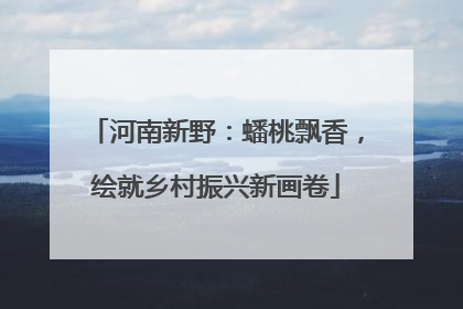 河南新野：蟠桃飘香，绘就乡村振兴新画卷