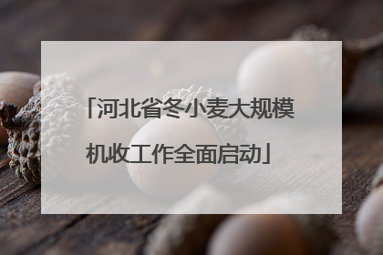 河北省冬小麦大规模机收工作全面启动
