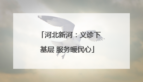 河北新河：义诊下基层 服务暖民心