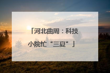 河北曲周：科技小院忙“三夏”