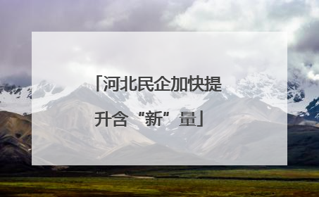 河北民企加快提升含“新”量