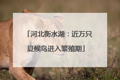 河北衡水湖：近万只夏候鸟进入繁殖期