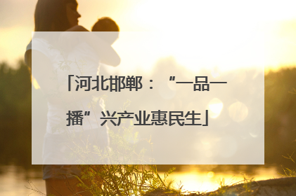 河北邯郸：“一品一播”兴产业惠民生