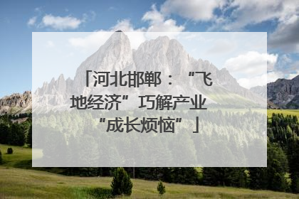 河北邯郸：“飞地经济”巧解产业“成长烦恼”