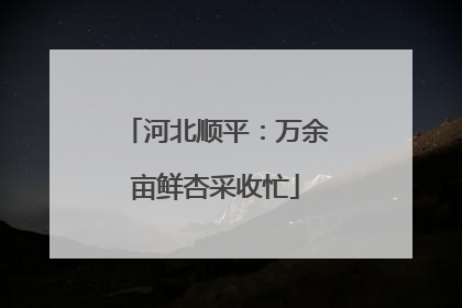 河北顺平：万余亩鲜杏采收忙