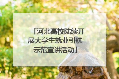 河北高校陆续开展大学生就业引航示范宣讲活动