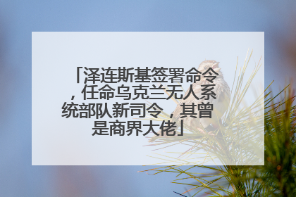 泽连斯基签署命令，任命乌克兰无人系统部队新司令，其曾是商界大佬