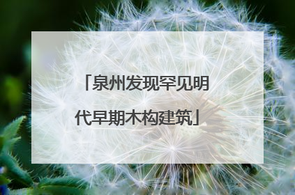 泉州发现罕见明代早期木构建筑