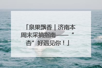 泉果飘香｜济南本周末采摘指南——“杏”好遇见你！