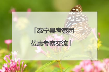 泰宁县考察团莅惠考察交流