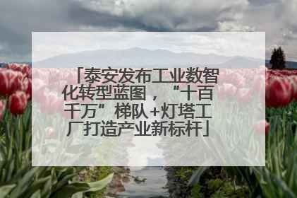 泰安发布工业数智化转型蓝图，“十百千万”梯队+灯塔工厂打造产业新标杆