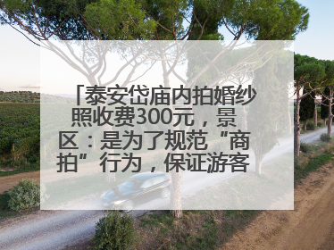 泰安岱庙内拍婚纱照收费300元，景区：是为了规范“商拍”行为，保证游客体验，收取费用全部上交国库