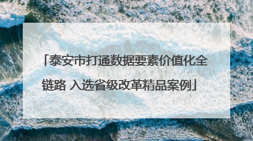 泰安市打通数据要素价值化全链路 入选省级改革精品案例