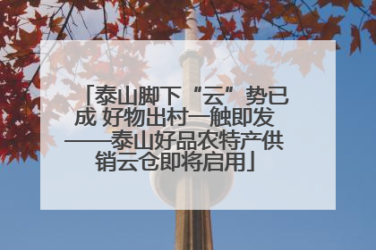 泰山脚下“云”势已成 好物出村一触即发——泰山好品农特产供销云仓即将启用
