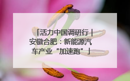 活力中国调研行｜安徽合肥：新能源汽车产业“加速跑”
