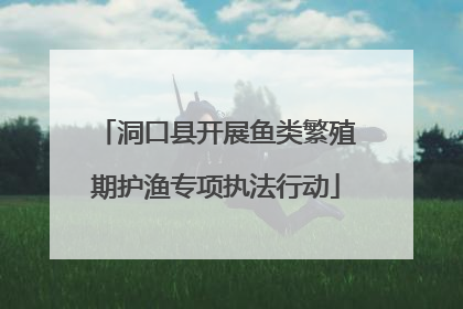 洞口县开展鱼类繁殖期护渔专项执法行动