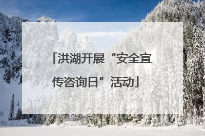 洪湖开展“安全宣传咨询日”活动