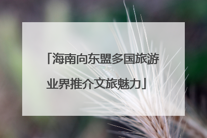 海南向东盟多国旅游业界推介文旅魅力