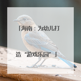 海南：为幼儿打造“游戏乐园”