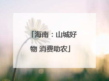 海南：山城好物 消费助农