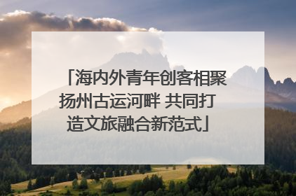 海内外青年创客相聚扬州古运河畔 共同打造文旅融合新范式