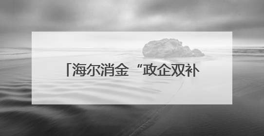 海尔消金“政企双补”让消费者从“想要买”到“买得起”